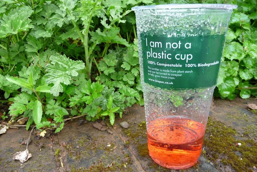 compostable drinks cup compostable drinks cup