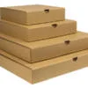 Pizza Box Sub Category (1)