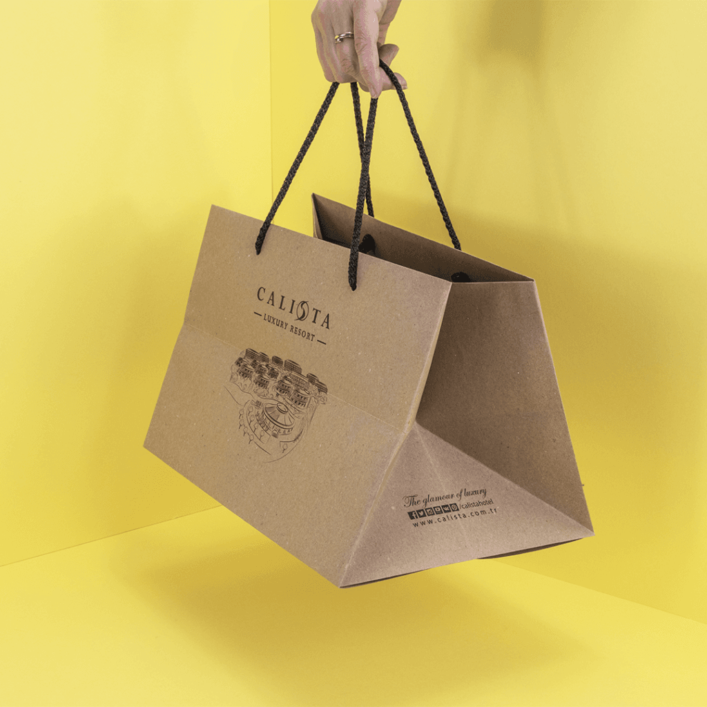 Printed Paper Bag