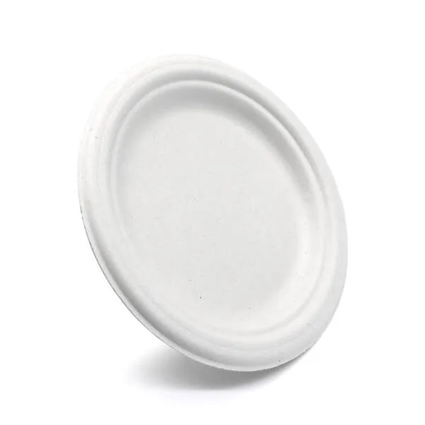 7" White Plate | Bagasse Compostable Food Packaging | Qty: 1000